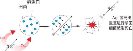 龍勝三層納米抗菌水管有效嗎？配圖解原理，99.99%抗菌率不是蓋的！