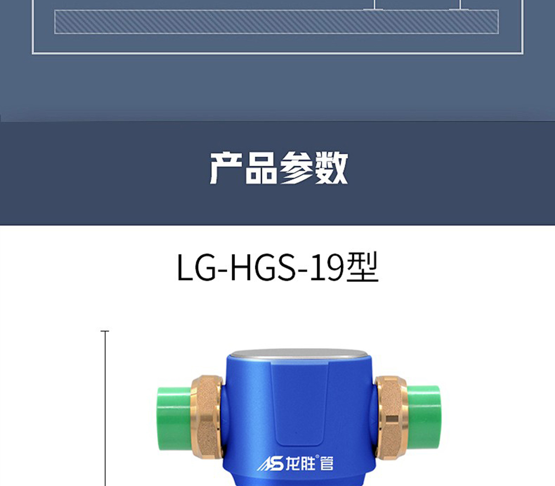 龍勝前置過濾器LS-HGS-19
